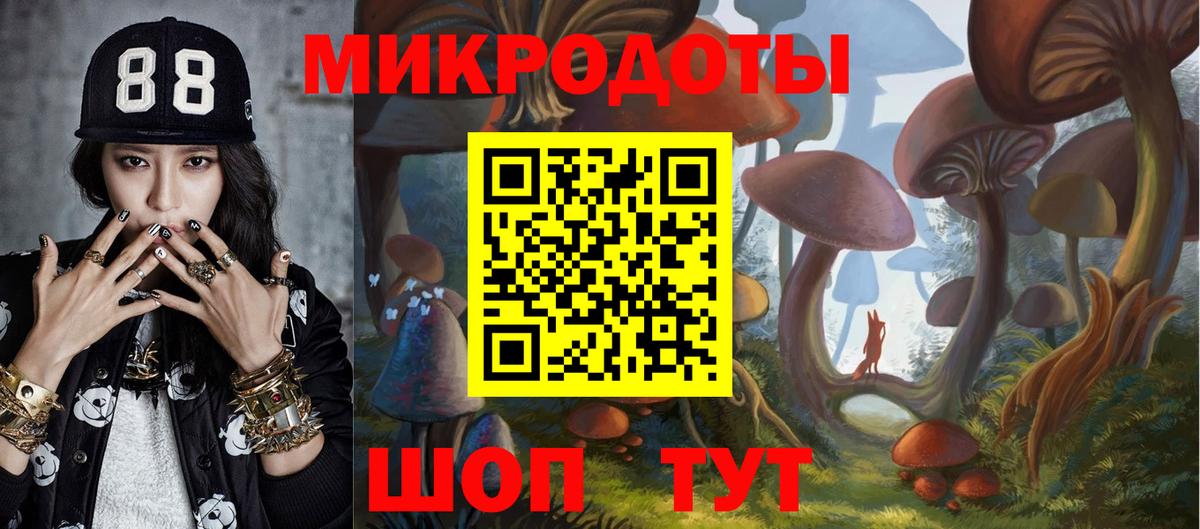 Вятские Поляны  Галлюциногенные грибы Psilocybine cubensis  Вход с VPN  хочу   Псилоцибиновые грибы Psilocybe 